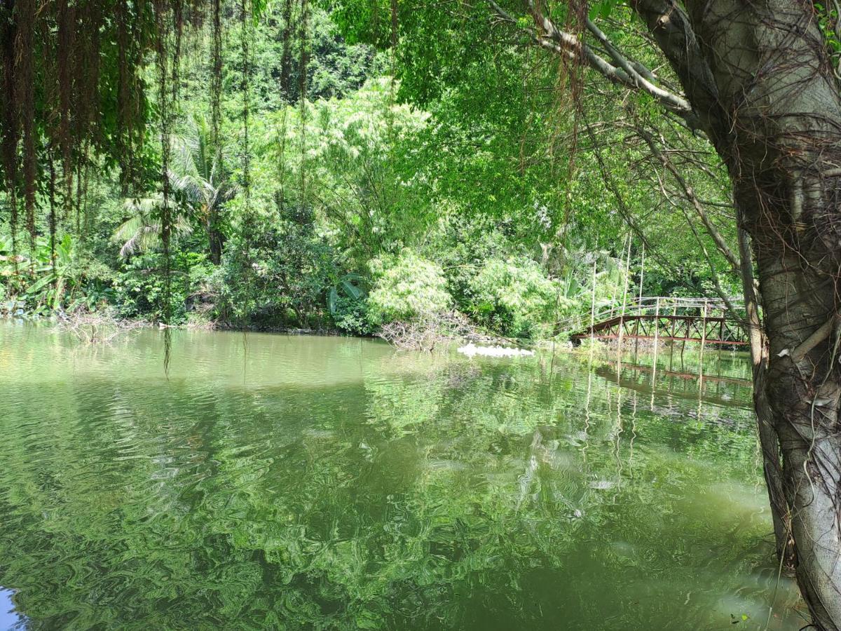 Thung Sen Tam Coc Chalets Ninh Binh Esterno foto