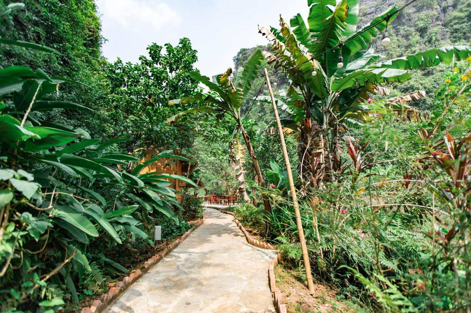 Thung Sen Tam Coc Chalets Ninh Binh Esterno foto