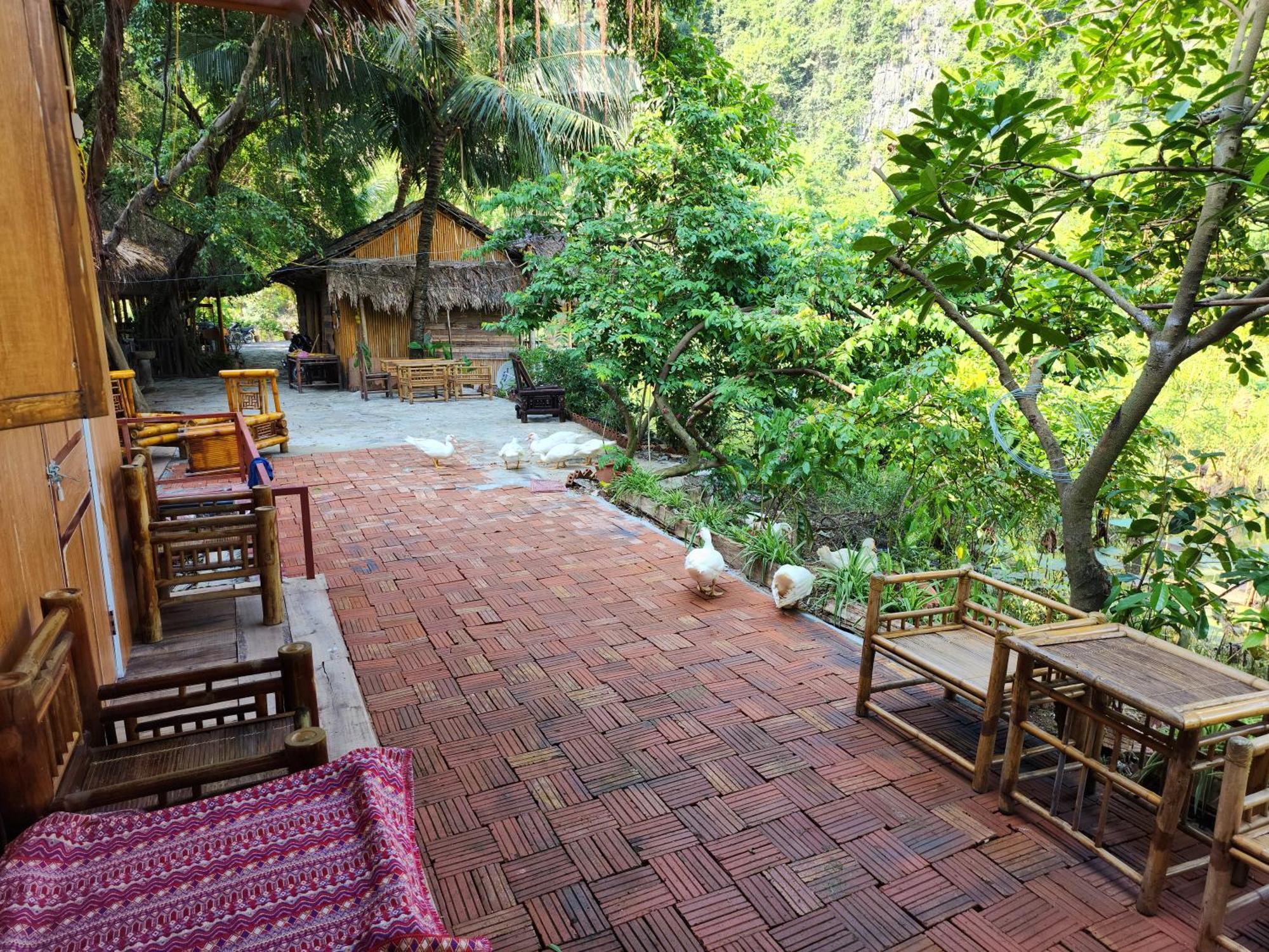 Thung Sen Tam Coc Chalets Ninh Binh Esterno foto