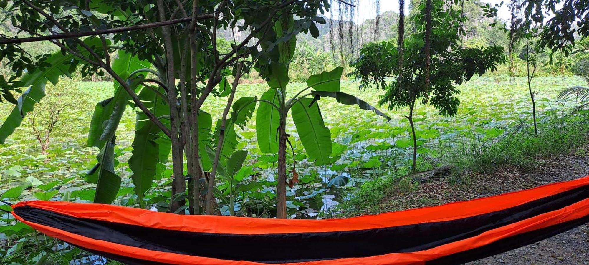 Thung Sen Tam Coc Chalets Ninh Binh Esterno foto
